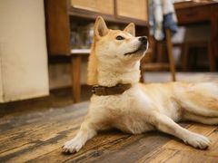 -三目仓咖啡(贤南路店)