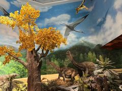 -安徽省地质博物馆