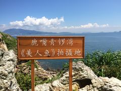 -杨梅坑