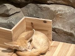 -绿色星球动物主题公园