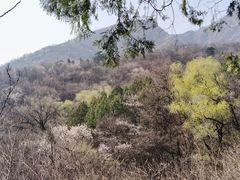 -阳台山自然风景区