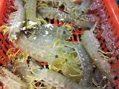 -79号渔船海鲜饭店(华强北店)