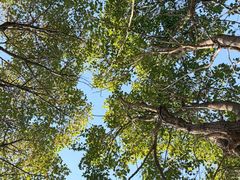 -嘉北郊野公园