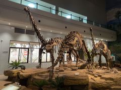 -自贡恐龙博物馆