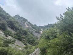 -朱雀国家森林公园