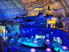 -烟台海昌鲸鲨海洋公园