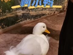 -正佳雨林生态植物园