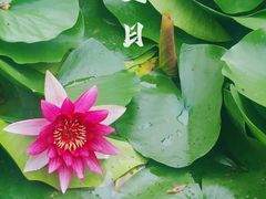 -北岭山森林公园