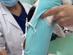 -北京观赏动物医院·24小时大型综合·猫专科·异宠专科