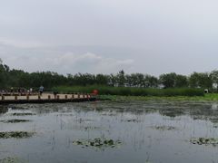 -绿堤公园