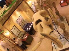 -信不信由你博物馆