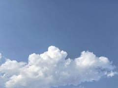 -粥六•新晋菜(柳巷店)