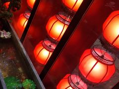 -李记东北饺子馆·东北菜(欢乐谷店)