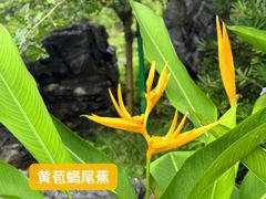 -东莞植物园