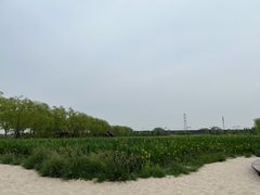 -永定河休闲森林公园