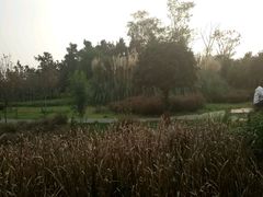 -白鹭湾湿地公园