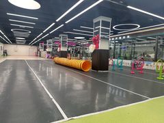 -全心全意动物诊疗中心医院(北苑店)