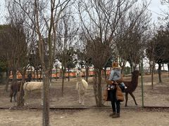 -南通濠河风景名胜区