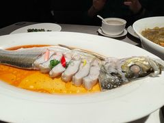 -醉庐·新上海菜(南京西路店)