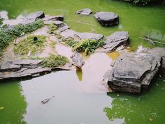 -南昌动物园