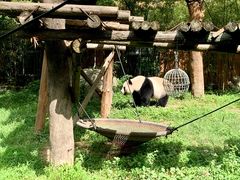 -宁波野生动物园