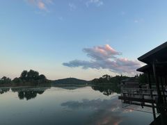-渤公岛生态公园