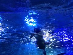 -江和美海洋公园