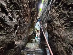 -天女山森林公园