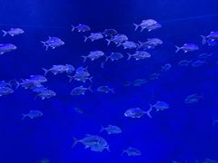 -波塞冬海底世界