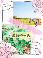 -麦粒鸟亲子游