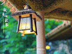 -川西竹海景区