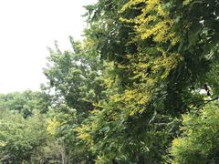 -北京植物园-展览温室