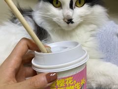 -肯德基(李家沱店)