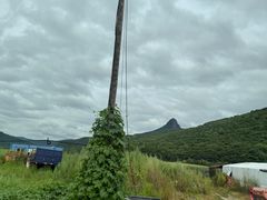 -帽儿山风景区