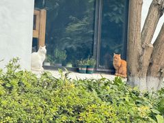 -新梅居(宁海东路店)