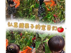 -迪茵湖田家舍生态农场