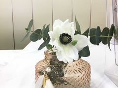 -慈宁宫鲜炖燕窝(文一物美店)