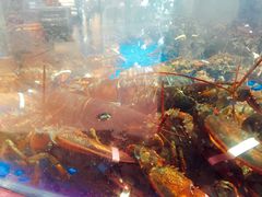 -盒马鲜生(悦峰店)