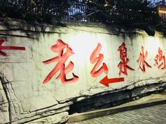 -老幺泉水鸡
