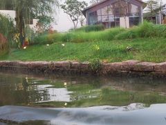 -凤城河风景区
