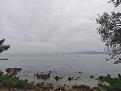 -养马岛旅游度假区