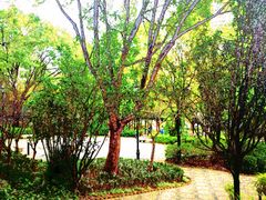 -九龙寨城公园