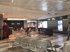 -米兰马尔彭萨国际机场