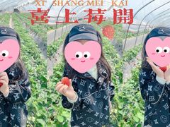 -小鱼草莓采摘园农家乐·小鱼餐厅