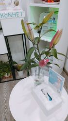 -时间海科学美容