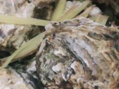 -樟树底(胜利河美食街店)