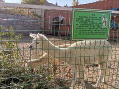 -清风小镇闯关东影视基地