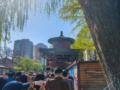 -皇家御河游(紫御湾码头)
