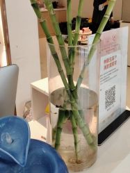 点击看大图 -Dr.林醫生产后修复·配方产康店(南京大厂店)