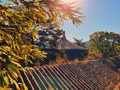 -潭柘寺景区